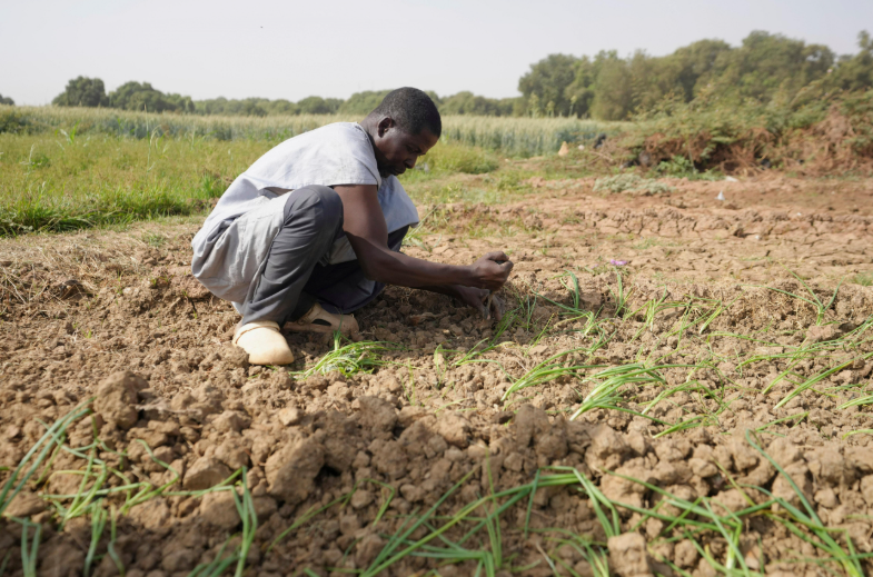 Nigeria develops a climate-finance framework for smallholder farmers