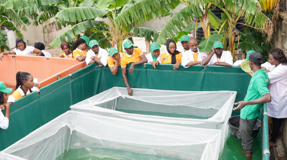 Youth agriculture initiative trains 837 people in Abuja