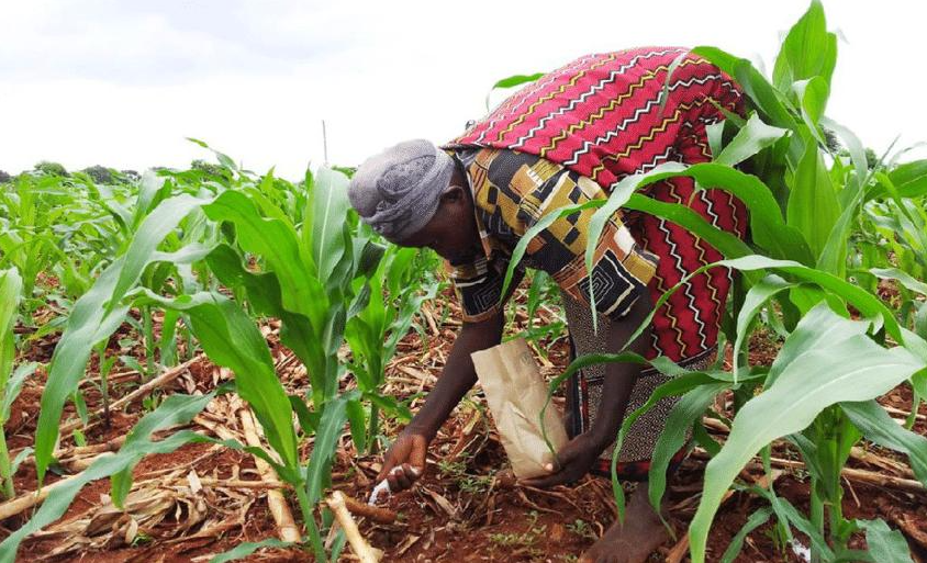Experts warn that more fertiliser does not automatically mean higher yields
