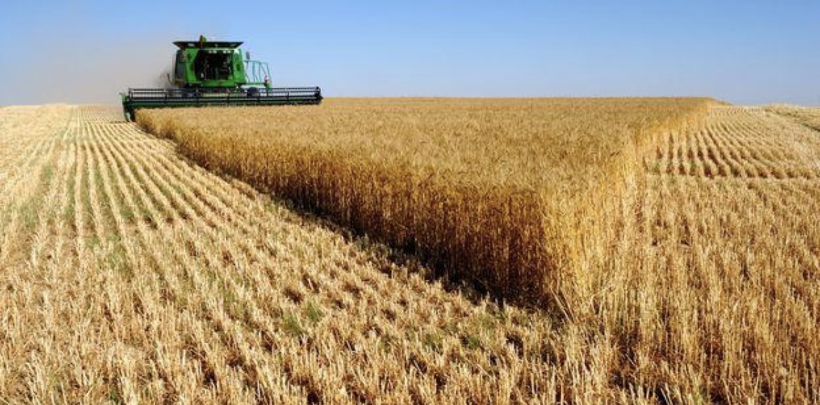 Experts Call for Better Soil Data to Improve Farming in Nigeria