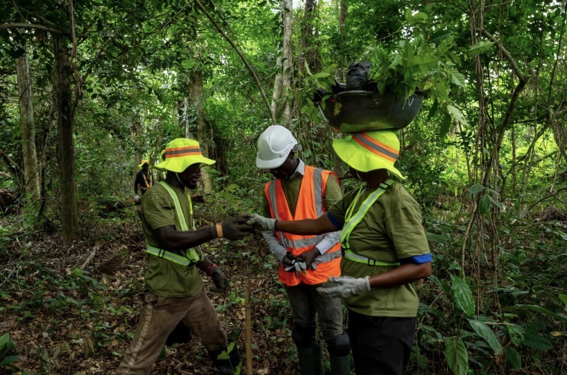 EU Launches International Initiative to Boost Biodiversity Financing